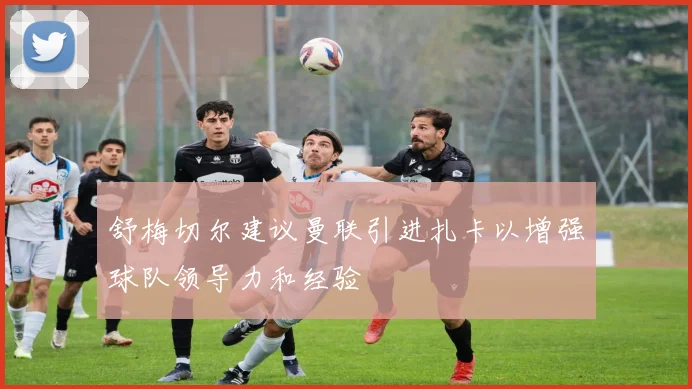 舒梅切尔建议曼联引进扎卡以增强球队领导力和经验